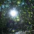 ST & JMT-3.jpg